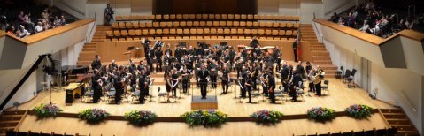 Certamen Diputació 2011Bandared