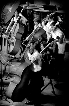 Audicions de sel·lecció per a cubrir les vacants de la JOGV per al&nbsp;2013