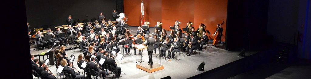 Aneu a celebrar la vostra Festa de Santa&nbsp;Cecília…